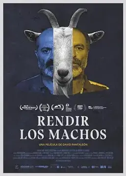 Последняя воля онлайн